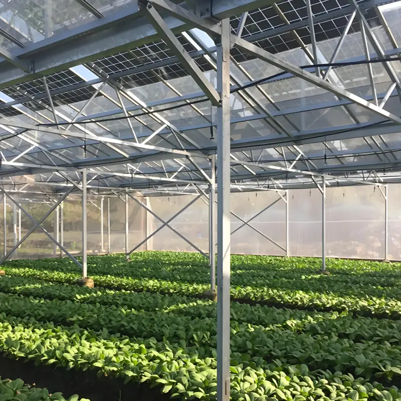 Power for Agricultural Facilities