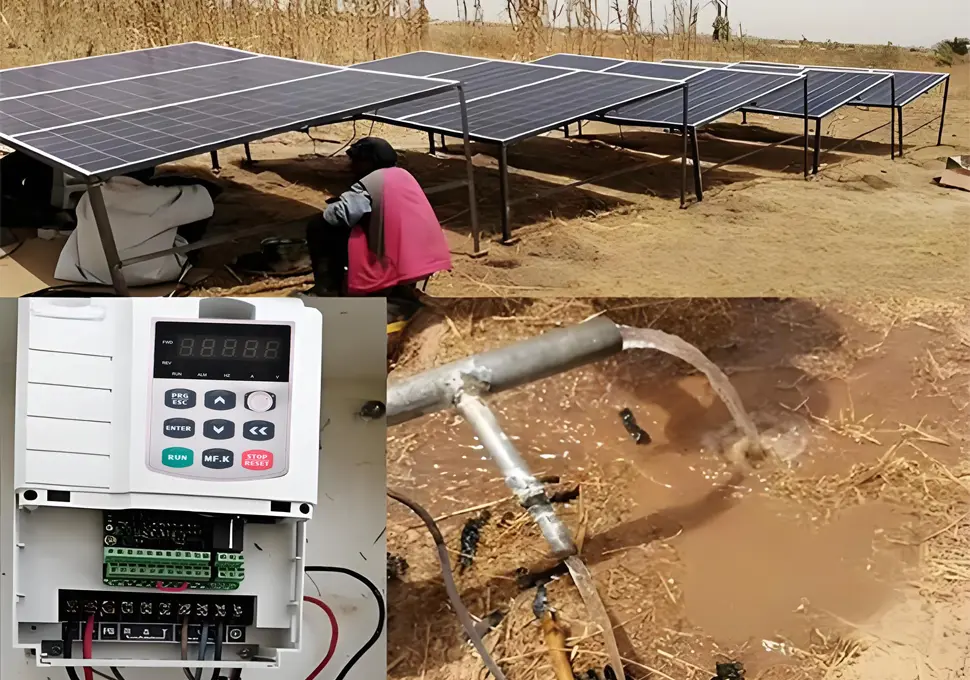 Solar-Powered Irrigation Solution Transforms Agricultural Productivity in Chad